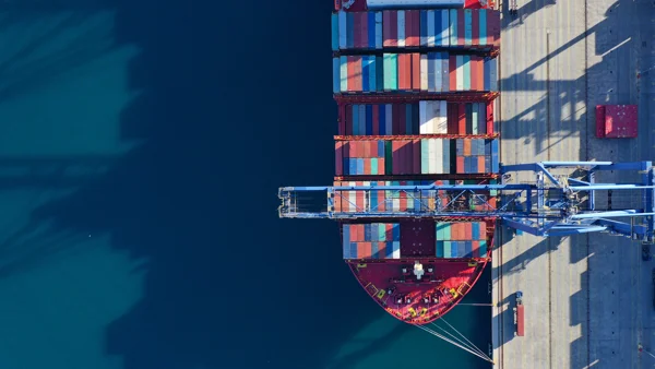 Adobestock 303152854